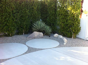 Modern Garden Tour - Modernism Week - Palm Springs