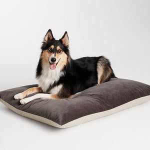 Signal Large Velvet Dog Bed