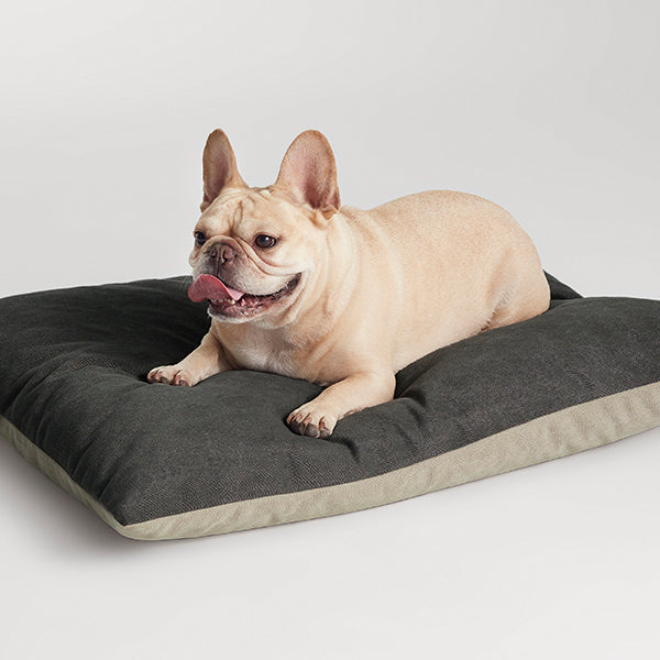 Signal Small Dog Bed - New!