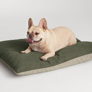 Signal Small Dog Bed