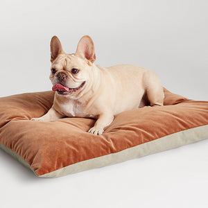 Signal Small Velvet Dog Bed - New!