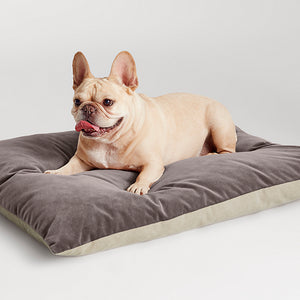 Signal Small Velvet Dog Bed - New!